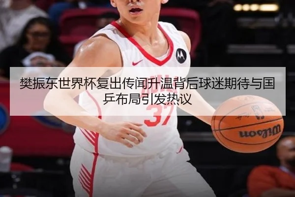 樊振东世界杯复出传闻升温背后球迷期待与国乒布局引发热议